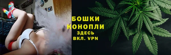 винт Мегион
