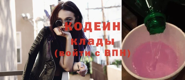 хмурый Арсеньев